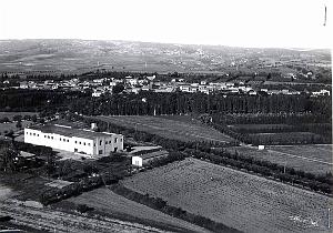 Misserghin  (6)